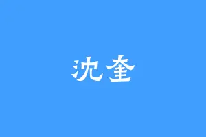 沈奎