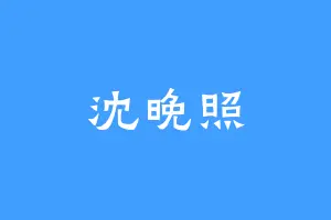 沈晚照