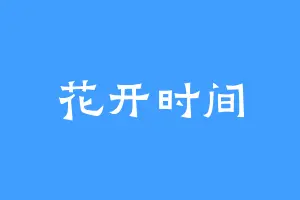 花开时间