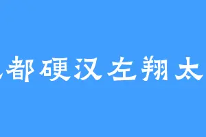 风都硬汉左翔太郎