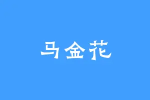马金花