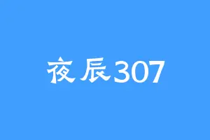 夜辰307