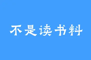 不是读书料