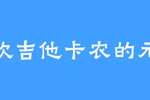 喜欢吉他卡农的元武