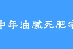 中年油腻死肥宅