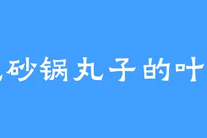 爱吃砂锅丸子的叶笕宇