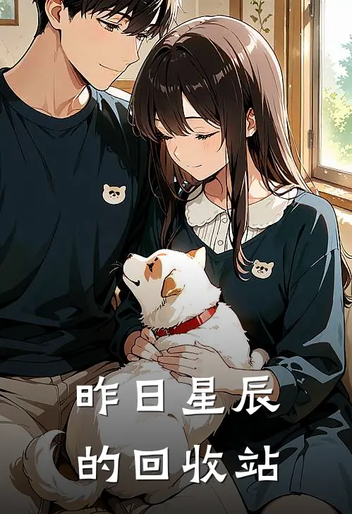 昨日星辰的回收站