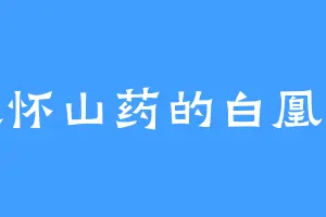 喜欢怀山药的白凰大人