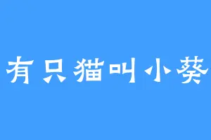 有只猫叫小葵