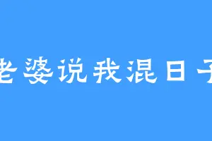 老婆说我混日子