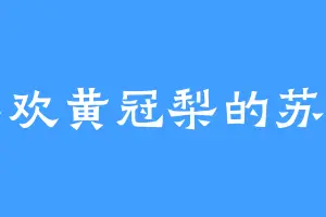 喜欢黄冠梨的苏雪