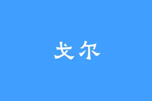 戈尔