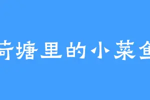 荷塘里的小菜鱼