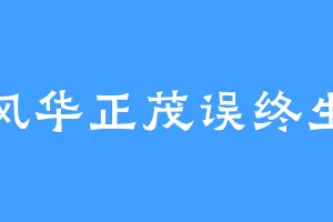 风华正茂误终生