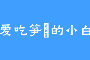 爱吃笋粿的小白