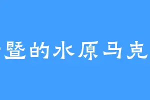 诸暨的水原马克斯