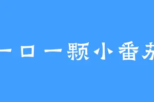 一口一颗小番茄