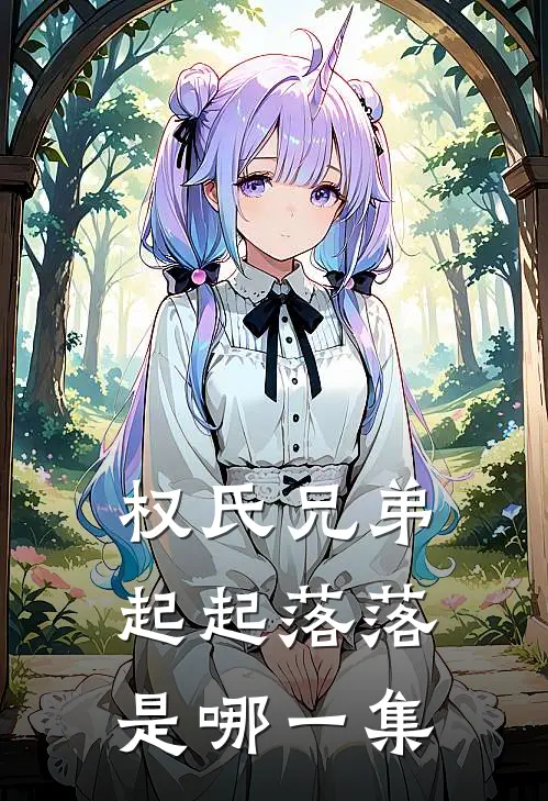 权氏兄弟起起落落是哪一集