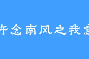 许念南风之我意