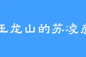 玉龙山的苏凌彦