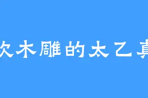 喜欢木雕的太乙真人