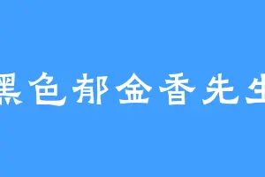 黑色郁金香先生