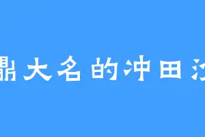 鼎鼎大名的冲田沙沙