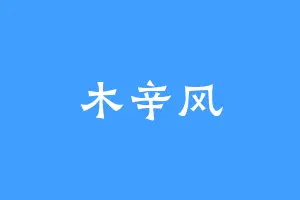 木辛风