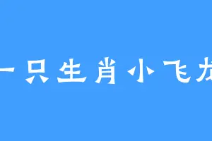 一只生肖小飞龙