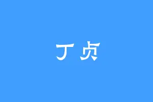 丁贞