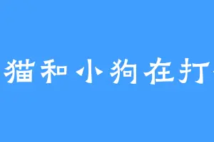 小猫和小狗在打架