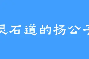 灵石道的杨公子