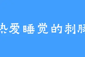 热爱睡觉的刺豚