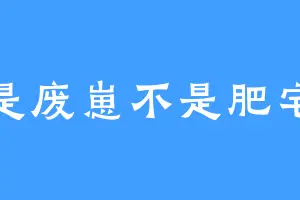 是废崽不是肥宅