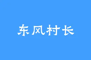 东风村长