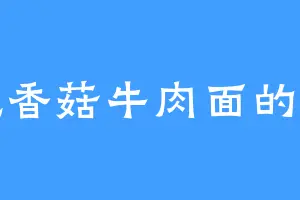 爱吃香菇牛肉面的段纶