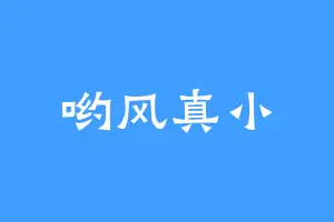 哟风真小