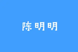 陈明明
