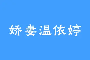 娇妻温依婷