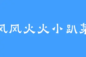风风火火小趴菜