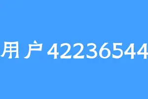 用户42236544