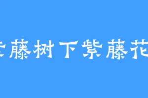 紫藤树下紫藤花2