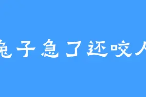 兔子急了还咬人