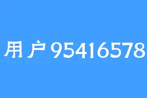 用户95416578