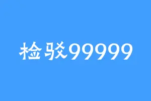 检驳99999