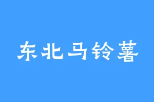 东北马铃薯