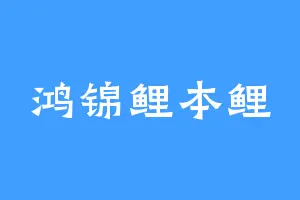 鸿锦鲤本鲤