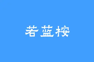 若蓝桉