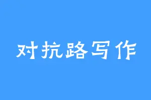 对抗路写作
