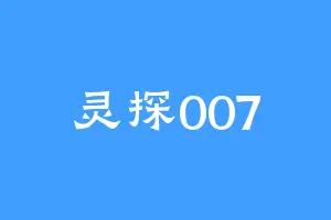 灵探007